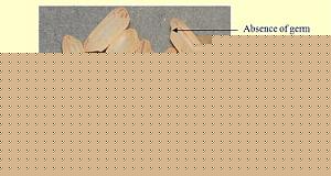 Click image for larger version

Name:	B.Rice1.jpg
Views:	1
Size:	27.6 KB
ID:	35533