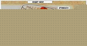 Click image for larger version

Name:	SLEEP-ON-THE-LEFT-SIDE-IS-GOOD-FOR-HEALTH.jpg
Views:	1
Size:	65.3 KB
ID:	35627