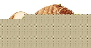 Click image for larger version

Name:	arbi.jpg
Views:	1
Size:	38.7 KB
ID:	35634