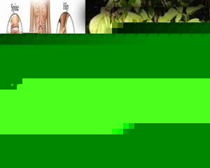Click image for larger version

Name:	Keerai.jpg
Views:	1
Size:	29.9 KB
ID:	34873