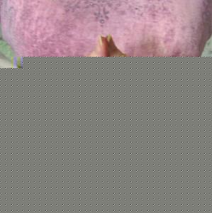 Click image for larger version

Name:	mudra_yoni.jpg
Views:	1
Size:	29.7 KB
ID:	33934