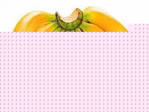 Click image for larger version

Name:	Vazai.jpg
Views:	1
Size:	10.2 KB
ID:	35332