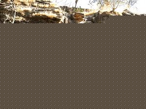 Click image for larger version

Name:	nrsimha2.jpg
Views:	1
Size:	580.8 KB
ID:	34619