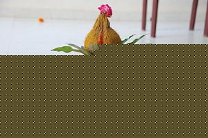 Click image for larger version

Name:	varalaksmi-devi-rituals.jpg
Views:	1
Size:	56.1 KB
ID:	34928