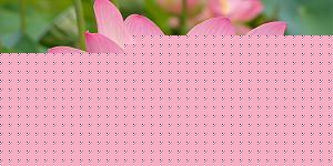 Click image for larger version

Name:	Venthamarai.jpg
Views:	1
Size:	38.7 KB
ID:	35222