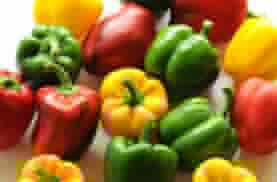 Click image for larger version

Name:	capsicum-pic.jpg
Views:	1
Size:	10.4 KB
ID:	35417
