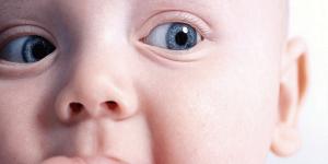 Click image for larger version

Name:	Eye.jpg
Views:	1
Size:	14.5 KB
ID:	35431