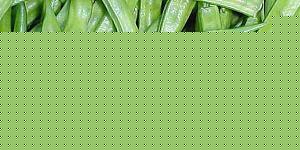 Click image for larger version

Name:	Kotha.jpg
Views:	1
Size:	33.2 KB
ID:	35063
