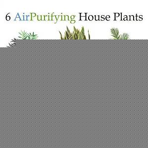 Click image for larger version

Name:	Plants.jpg
Views:	1
Size:	86.5 KB
ID:	34843
