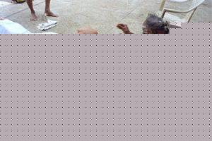Click image for larger version

Name:	Sastanga Namaskaram.jpg
Views:	1
Size:	17.9 KB
ID:	34266