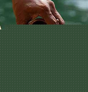 Click image for larger version

Name:	thilahomam1.jpg
Views:	1
Size:	76.7 KB
ID:	35654