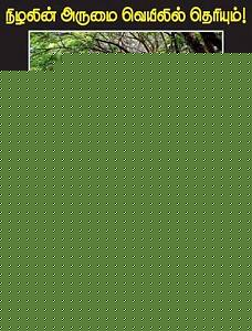 Click image for larger version

Name:	Trees.jpg
Views:	1
Size:	37.9 KB
ID:	35032