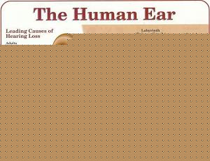 Click image for larger version

Name:	The Human ear.jpg
Views:	1
Size:	65.3 KB
ID:	34576