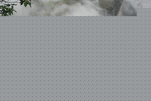 Click image for larger version

Name:	5pichu.jpg
Views:	1
Size:	69.1 KB
ID:	35602