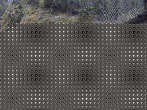 Click image for larger version

Name:	2 siju.jpg
Views:	1
Size:	57.3 KB
ID:	35599