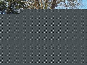 Click image for larger version

Name:	thiruvattar 12.jpg
Views:	1
Size:	135.0 KB
ID:	35700