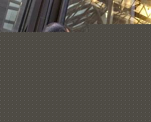 Click image for larger version

Name:	trialroom2.jpg
Views:	1
Size:	41.6 KB
ID:	35529