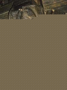 Click image for larger version

Name:	vvkom 26.jpg
Views:	1
Size:	48.0 KB
ID:	35725