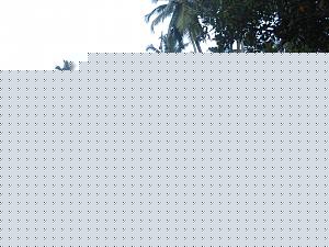 Click image for larger version

Name:	vvkom 2.jpg
Views:	1
Size:	59.2 KB
ID:	35705