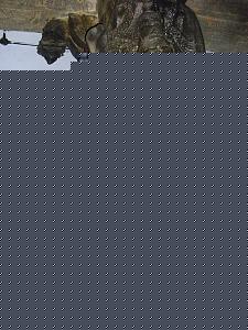 Click image for larger version

Name:	vvkom 25.jpg
Views:	1
Size:	41.4 KB
ID:	35724