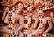 Click image for larger version

Name:	Urvasi.jpg
Views:	1
Size:	12.3 KB
ID:	34950