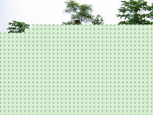 Click image for larger version

Name:	agraharam present 1.jpg
Views:	1
Size:	114.3 KB
ID:	35737