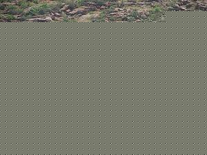 Click image for larger version

Name:	Banashankari-Amma-Temple.jpg
Views:	1
Size:	96.7 KB
ID:	34940