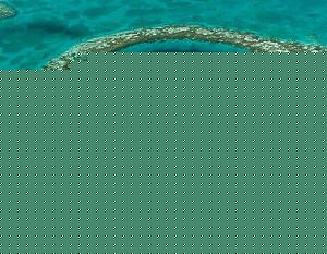 Click image for larger version

Name:	Blue Hole.jpg
Views:	1
Size:	66.0 KB
ID:	34593