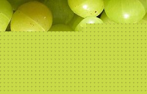 Click image for larger version

Name:	indian-gooseberry.jpg
Views:	1
Size:	23.3 KB
ID:	35518