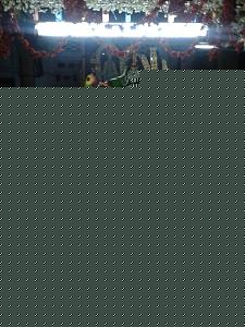 Click image for larger version

Name:	Urayur.jpg
Views:	1
Size:	50.9 KB
ID:	35295