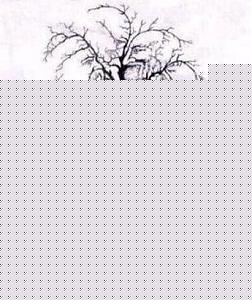 Click image for larger version

Name:	How many faces.jpg
Views:	1
Size:	26.3 KB
ID:	34321