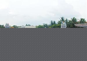 Click image for larger version

Name:	Sugava.jpg
Views:	1
Size:	49.9 KB
ID:	35302
