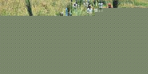 Click image for larger version

Name:	kazuthai.jpg
Views:	1
Size:	46.7 KB
ID:	35322