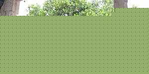 Click image for larger version

Name:	Sthala Virutcham.jpg
Views:	1
Size:	81.0 KB
ID:	35189