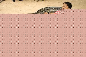 Click image for larger version

Name:	Snake boy 2.jpg
Views:	1
Size:	48.4 KB
ID:	34804