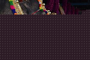 Click image for larger version

Name:	Nettipattam.jpg
Views:	1
Size:	99.2 KB
ID:	35149