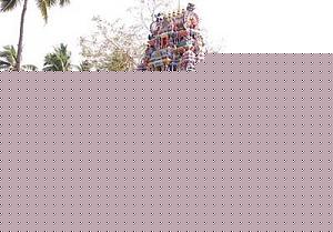 Click image for larger version

Name:	Attukal-temple.JPG
Views:	1
Size:	37.0 KB
ID:	35577