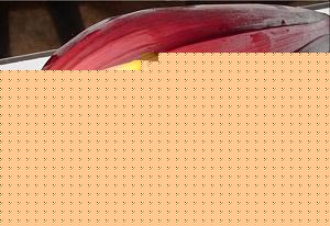 Click image for larger version

Name:	Vazai Poo.jpg
Views:	1
Size:	59.7 KB
ID:	35115