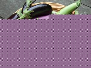 Click image for larger version

Name:	Kathari.jpg
Views:	1
Size:	30.6 KB
ID:	35110