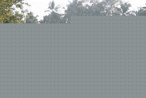 Click image for larger version

Name:	suchindram19.jpg
Views:	1
Size:	485.6 KB
ID:	34019