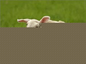 Click image for larger version

Name:	Mother 2.jpg
Views:	1
Size:	105.2 KB
ID:	34610