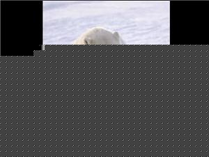 Click image for larger version

Name:	Mother 5.jpg
Views:	1
Size:	68.2 KB
ID:	34613