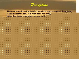 Click image for larger version

Name:	Perception.jpg
Views:	1
Size:	262.7 KB
ID:	34556