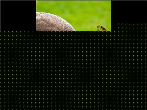Click image for larger version

Name:	Mother 4.jpg
Views:	1
Size:	119.8 KB
ID:	34612