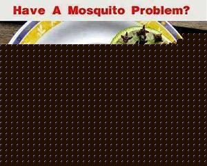 Click image for larger version

Name:	How to drive away Mosquitoes.jpg
Views:	1
Size:	28.8 KB
ID:	35346