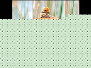 Click image for larger version

Name:	Mother 6.jpg
Views:	1
Size:	120.2 KB
ID:	34614