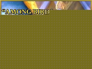 Click image for larger version

Name:	Garuda.jpg
Views:	1
Size:	82.0 KB
ID:	34664