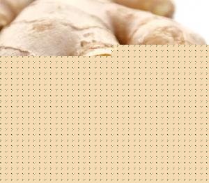 Click image for larger version

Name:	Ginger.jpg
Views:	1
Size:	36.8 KB
ID:	35375