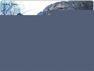 Click image for larger version

Name:	Mountain Temple 12.jpg
Views:	1
Size:	181.2 KB
ID:	34314