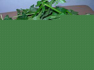 Click image for larger version

Name:	Manathakali.jpg
Views:	1
Size:	24.8 KB
ID:	35288